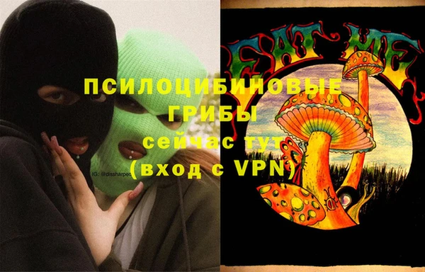 тгк Алзамай