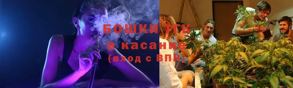 соль ск Алексеевка