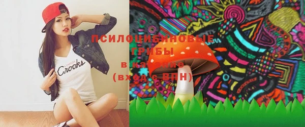 тгк Алзамай